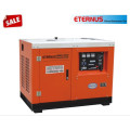 12kw Water Cooling High Speed Diesel Generator (SHT25D)